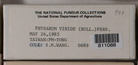 Physarum viride var. viride image